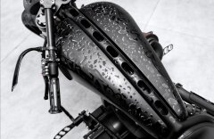 Harley-Davidson  Hardcore Custom based on WALZ HARDCORE CYCLES