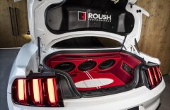 Ford Mustang 5,0 CARLEX DESIGN, ROUSH