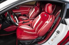 Ford Mustang 5,0 CARLEX DESIGN, ROUSH