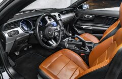 Ford Mustang 5,0GT Cabrio 5,0 GT Kabrio, Manual
