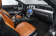 Ford Mustang 5,0GT Cabrio 5,0 GT Kabrio, Manual