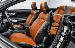 Ford Mustang 5,0GT Cabrio 5,0 GT Kabrio, Manual