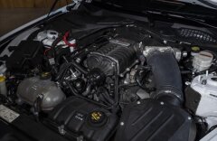 Ford Mustang 5,0 CARLEX DESIGN, ROUSH