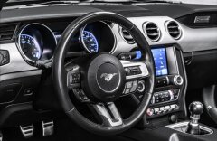 Ford Mustang 5,0GT Cabrio 5,0 GT Kabrio, Manual