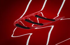 Alfa Romeo Stelvio 2,9 QUADRIFOGLIO Q4, H/K, PANORAMA