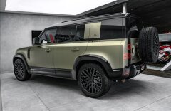 Land Rover Defender 3,0D 110 First Edition, Panorama